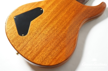 Modern Eagle II 25th Anniversary - Amber